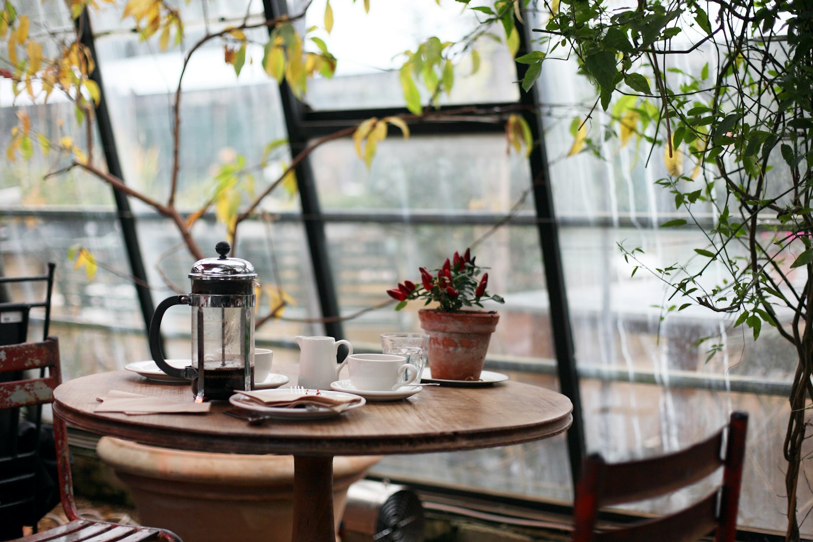 A window table at the brew bar with a French press, cups and a pot of chillies