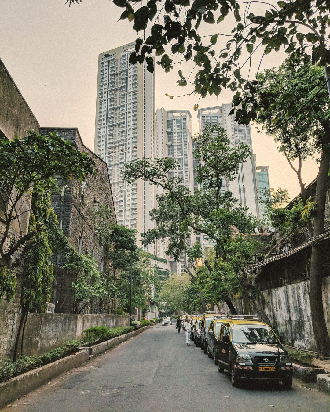 A leafy Santacruz West lane lined with kaali-peeli taxis, towers rising behind the trees